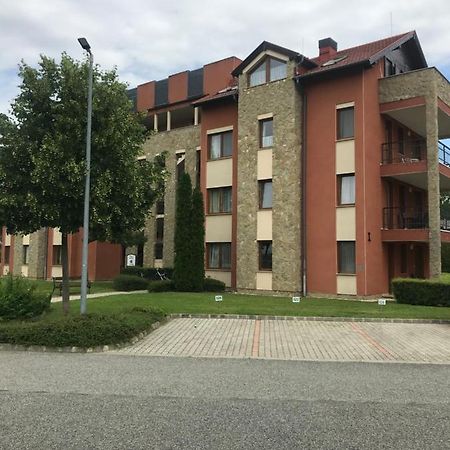 Lili Apartman Birdland Buekfuerdo Exterior photo